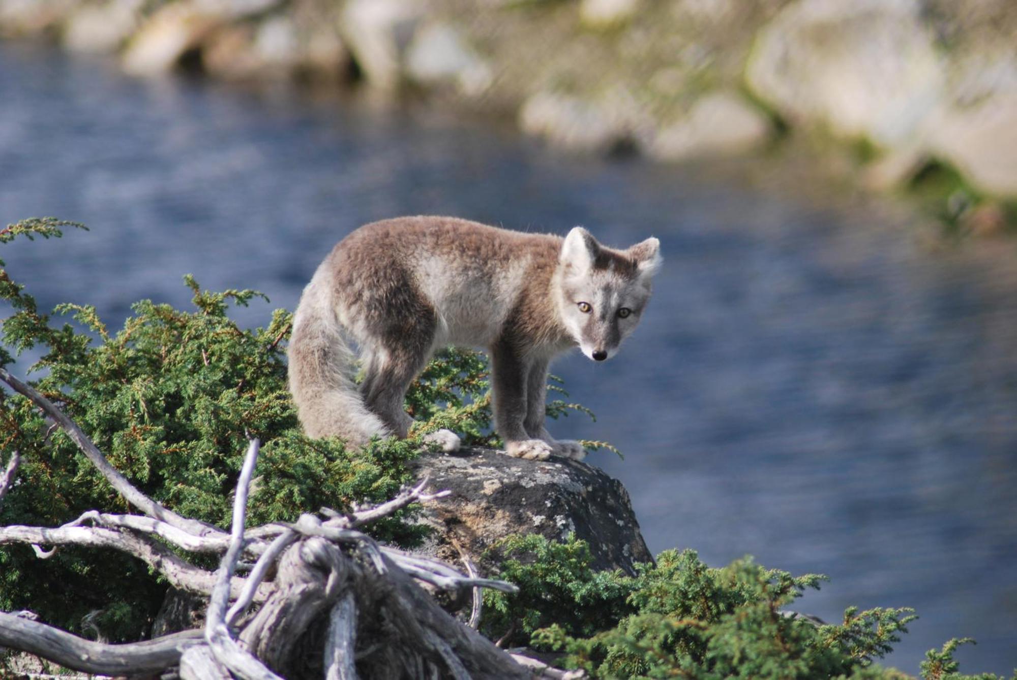 Langedrag Naturpark As Tunhovd Eksteriør billede