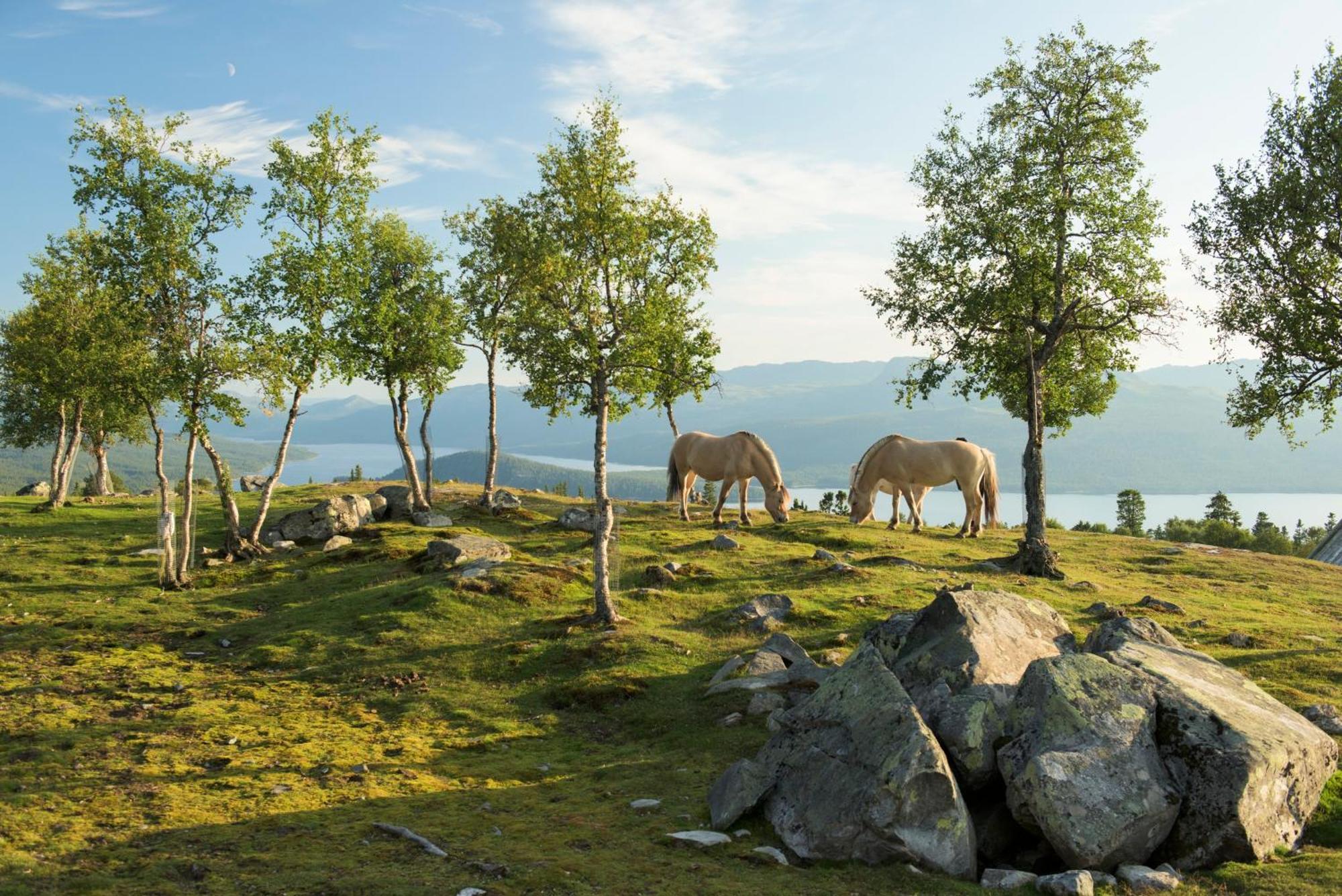 Langedrag Naturpark As Tunhovd Eksteriør billede
